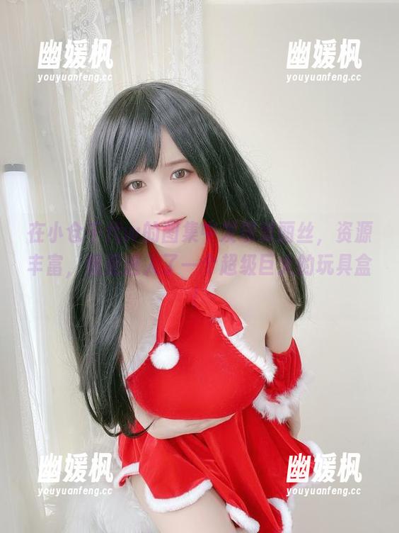 在小仓千代w的图集中发现爱丽丝，资源丰富，像是进入了一个超级巨大的玩具盒！