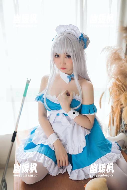 女仆与焖焖碳：色彩斑斓的精选合集